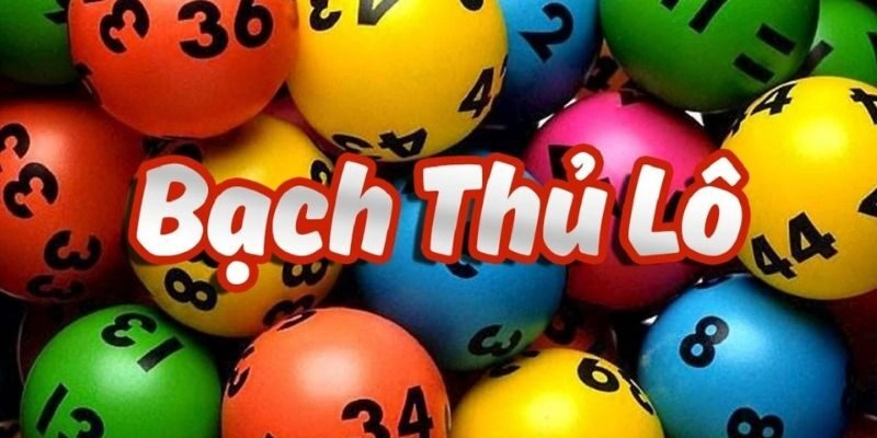 doi-net-co-ban-ve-bach-thu-lo-khung-1-ngay
